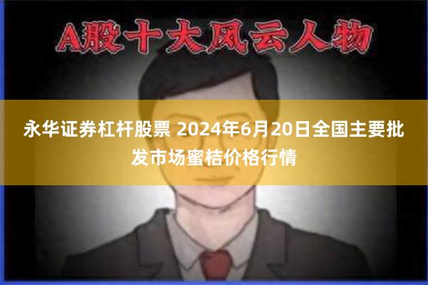 永华证券杠杆股票 2024年6月20日全国主要批发市场蜜桔价格行情