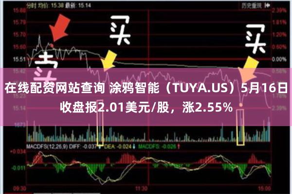 在线配资网站查询 涂鸦智能（TUYA.US）5月16日收盘报2.01美元/股，涨2.55%