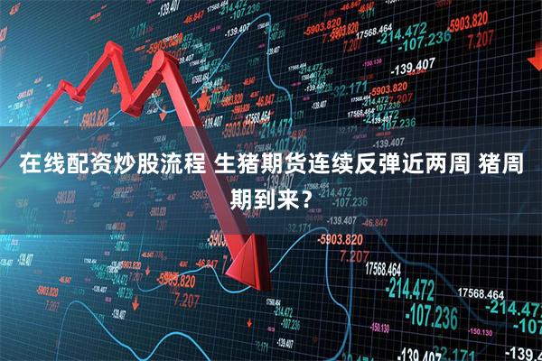 在线配资炒股流程 生猪期货连续反弹近两周 猪周期到来？