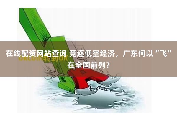在线配资网站查询 竞逐低空经济，广东何以“飞”在全国前列？