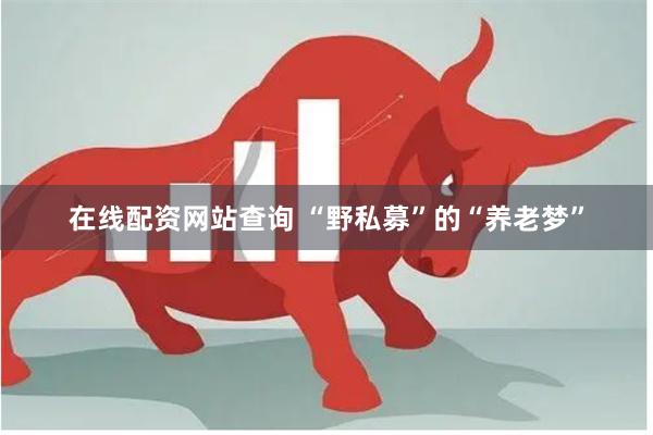 在线配资网站查询 “野私募”的“养老梦”