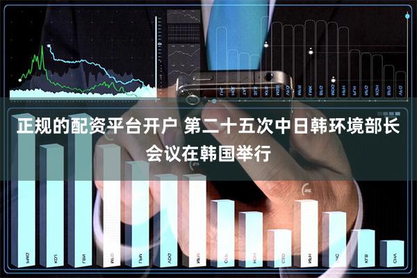 正规的配资平台开户 第二十五次中日韩环境部长会议在韩国举行