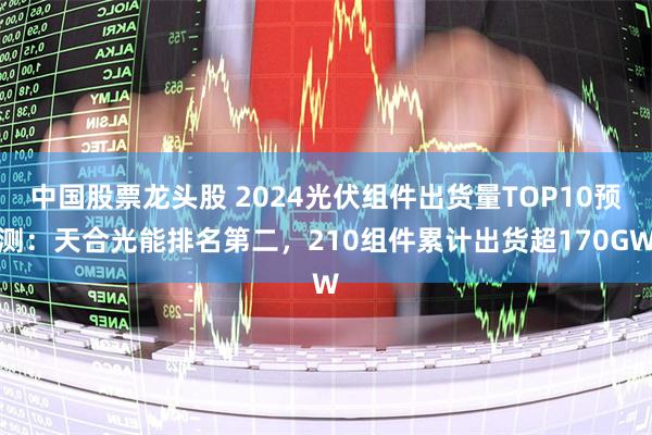 中国股票龙头股 2024光伏组件出货量TOP10预测：天合光能排名第二，210组件累计出货超170GW